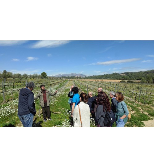 Calçotada Penedès: Caminata y cata | Caminata y cata | hike and taste