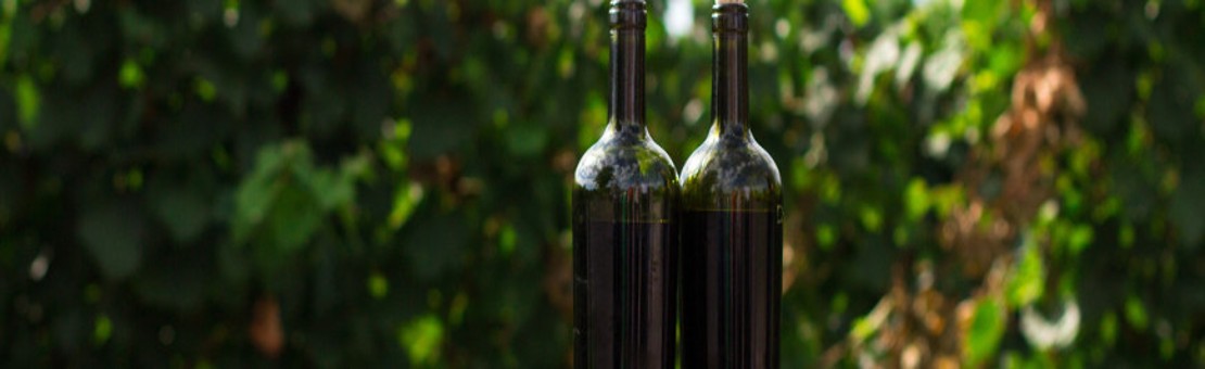 Biodynamic Wines